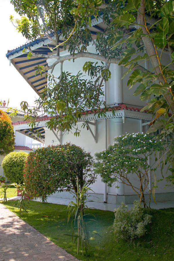Alma Beach Hotel Weligama Zewnętrze zdjęcie